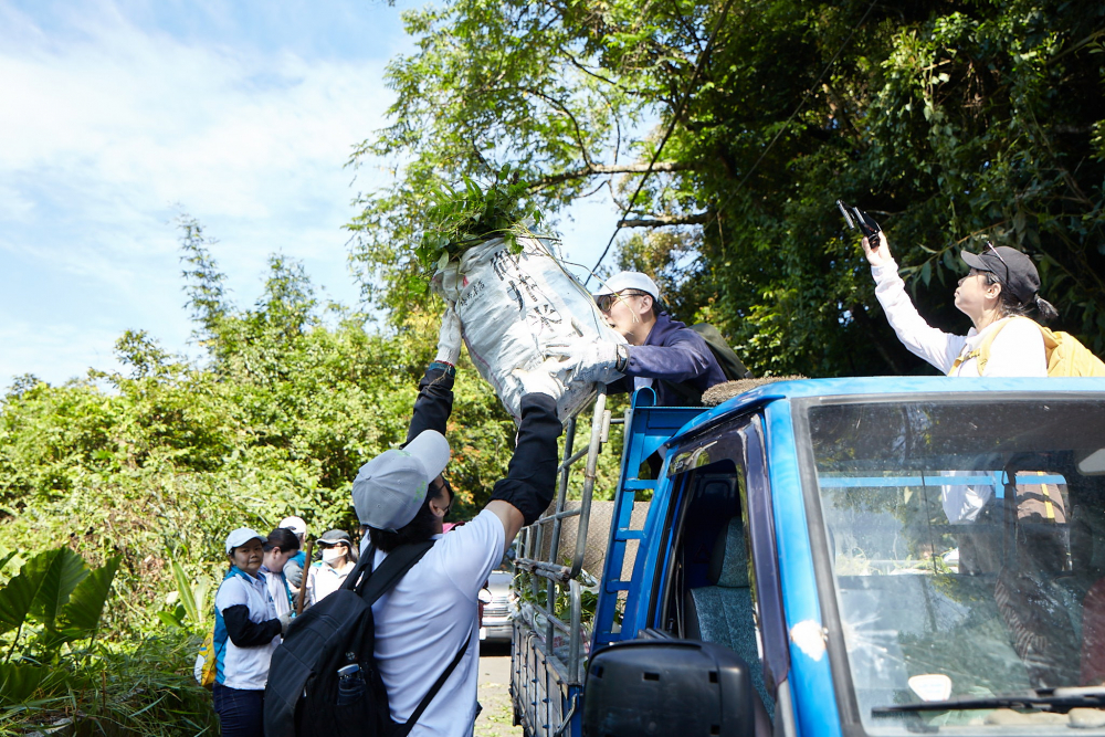 友達串聯志工組成水環境巡守隊，針對霄裡溪沿岸3公里的小花蔓澤蘭，定期進行移除與防治工作